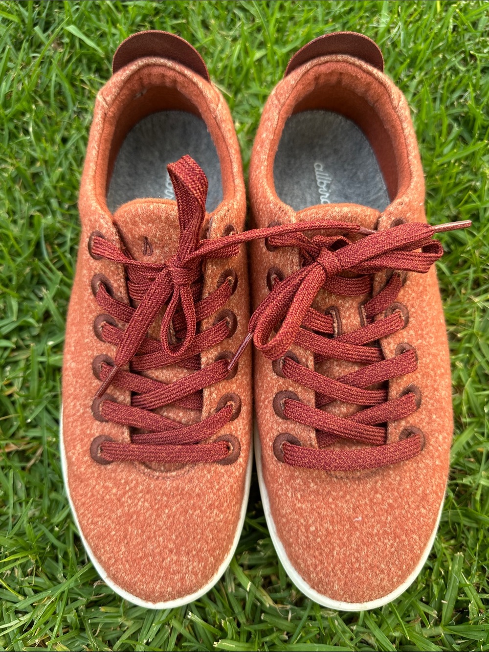 allbirds Low-Top Sneakers in Rust Brown